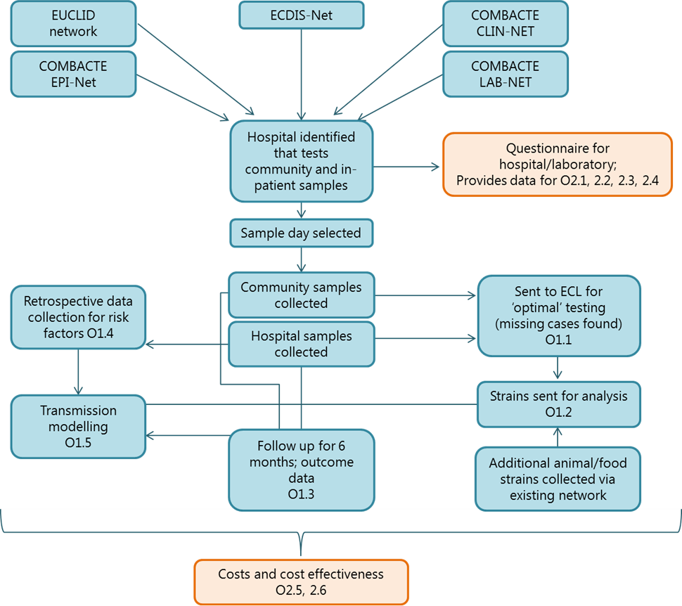 CDI Epidemiology - WP1