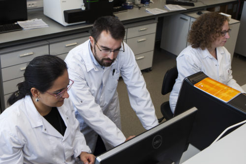 LAB-Net as Central Laboratory for PRUDENCE